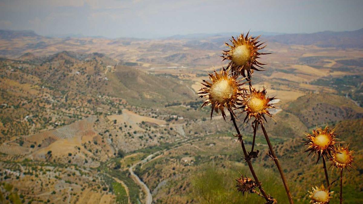 广西贵港简称贵,也曾叫贵州,和贵州省有什么关系?