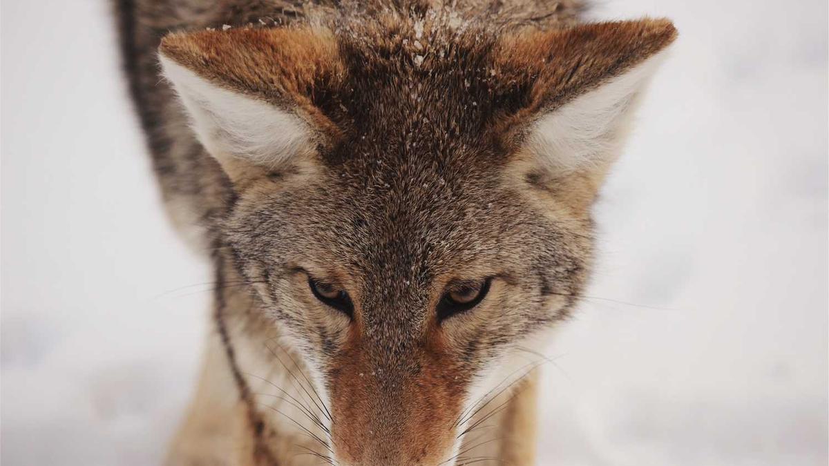 南京照相馆可以免费观看吗