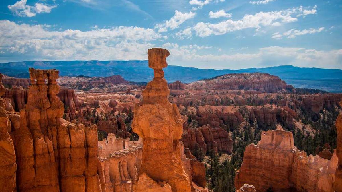 PWM私人财富管理师