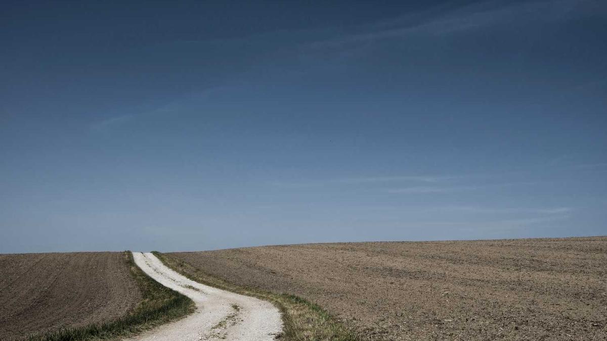 铜陵长江三桥的特点介绍