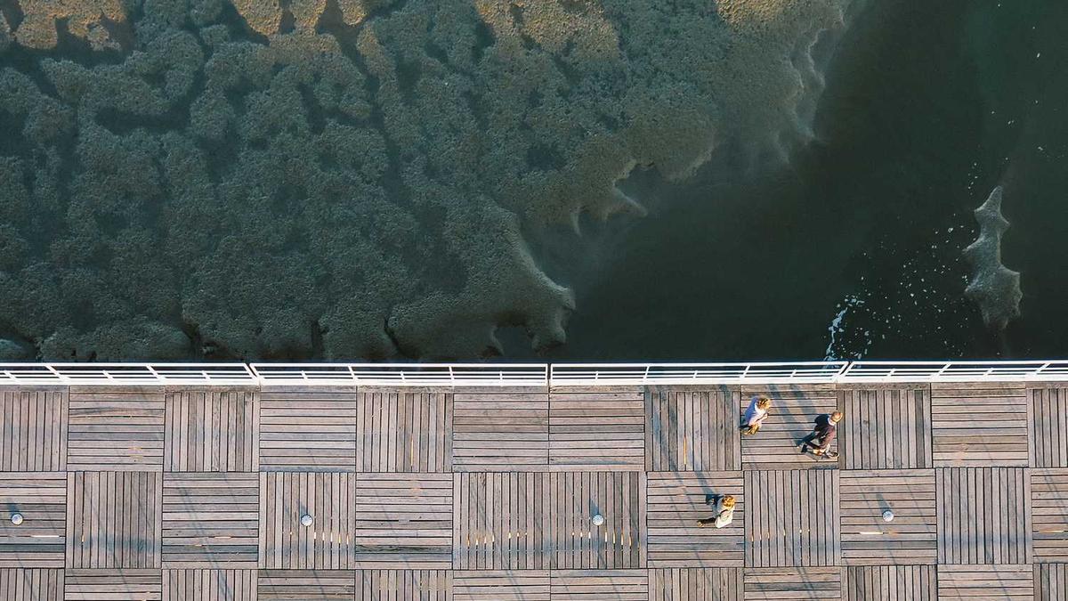 哪些城市有无人驾驶网约车