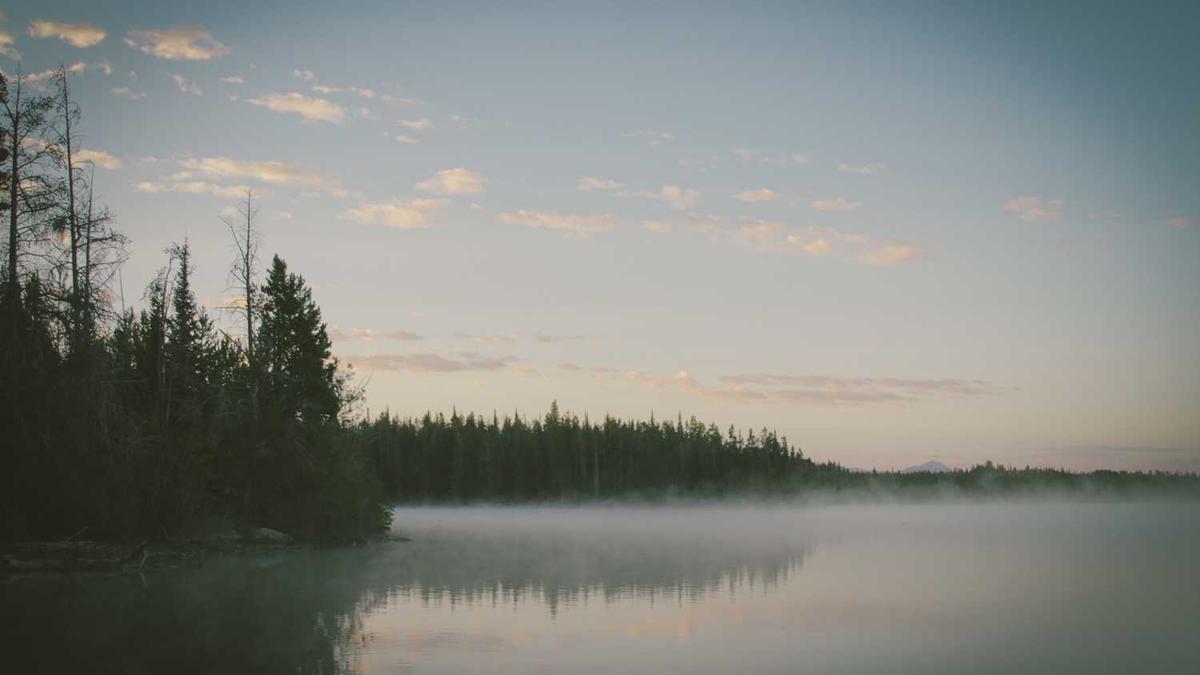 以下流星雨中极大日期出现在每年10月份的是什么流星雨