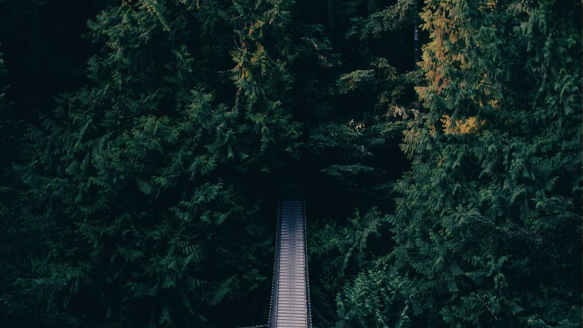 e城e家携新奥智慧共创美丽枣庄